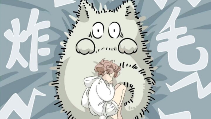 炸毛猫猫好可爱