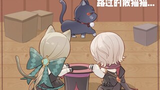 被迫表演魔术的散猫猫