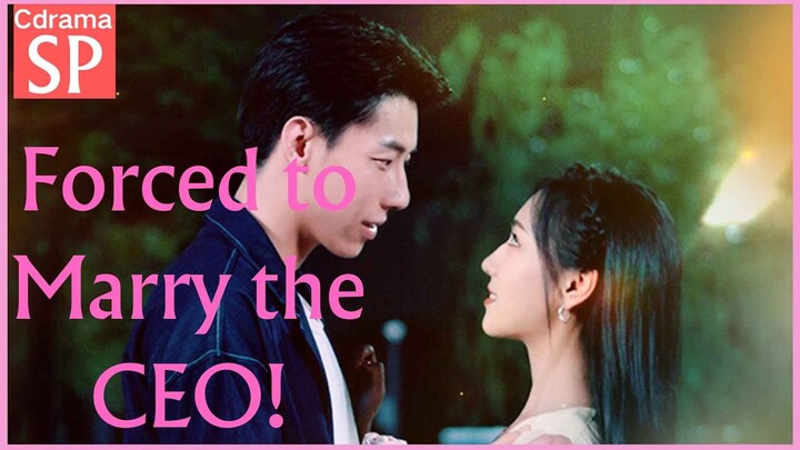 【Cdrama】SP💖 Forced to Marry the CEO! |✨ #cdrama #drama #shortdrama #chinesedrama