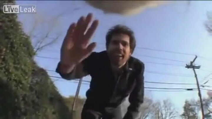 Lắp camera cho mèo để biết cuộc sống hàng ngày của chúng