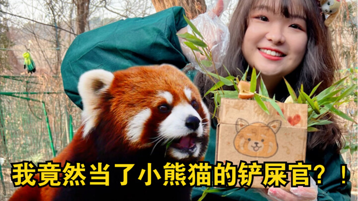 I finally got to the zoo to see my adopted red panda!
