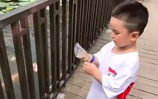 Bạn đừng keo kiệt, chiếc áo phông trẻ em bạn mua có thể mặc được năm năm
