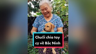 E Chuối lại chia tay cụ e về Bắc Ninh đây. cunyeucuadua chó chócon chókhôn chócute