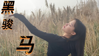 [Taohua Original] Awesome Outdoor Mongolian Dance Improvisation: "Black Stallion" | I heard it's bei
