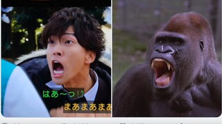 【字幕】不破谏　我 不 是 猩 猩