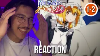 WHAT IS THIS?! Harem in the Labyrinth of Another World Episode 1-2 Reaction