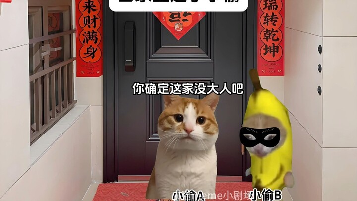 Khi nhà bị trộm đột nhập