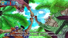 SOSOK YANG DITUNGGU ! ROGER ODEN DAN SHIROHIGE MENANTI SOSOK JOYBOY KEMBALI ONE PIECE