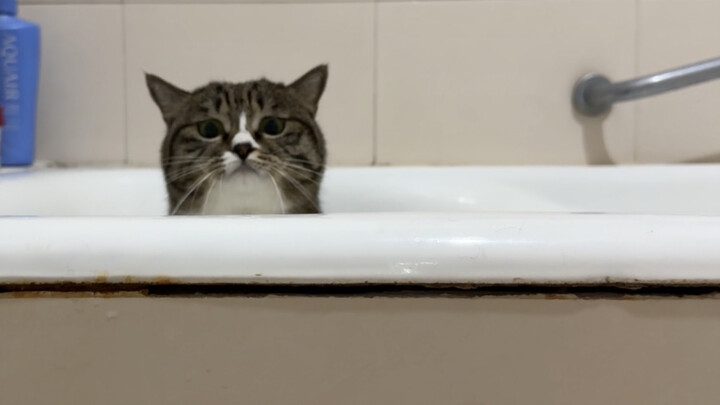 Tôi có thể chơi với cô ấy cả ngày như thế này.