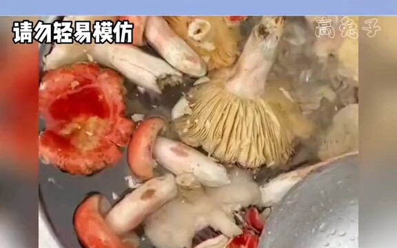 ความโรแมนติกเฉพาะชาวยูนนาน