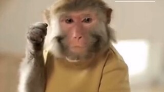 This ad of Xiao Ding made me dumbfounded