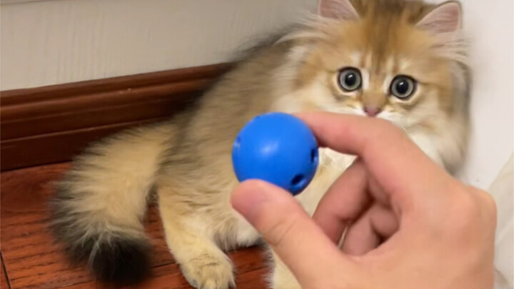 Motherly love is like a mountain.