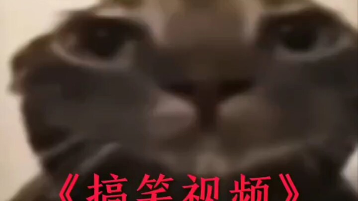 Today's merit +1 【Flame Enchantment】