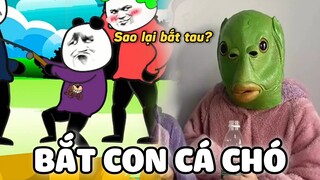 GẤU HÀI HƯỚC: Bắt Con Cá Chó | Tập 39 | #gauhaihuoc