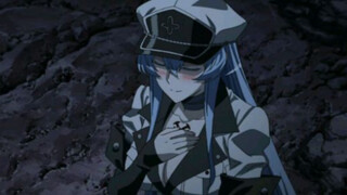 The strongest general Esdeath finally disappeared into ice dust with the regret of not being able to