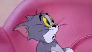 【Cat and Mouse】《Rogue》【Image Memory】