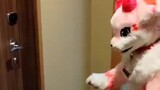 Furui suit, furry feeling (other video 623)
