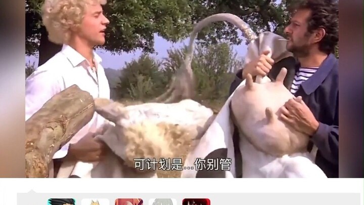 ฮ่าๆๆ... ไอ้คนข้างหลังนี่มันบ้าไปแล้วนะ