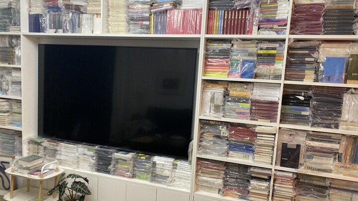 A First-Year Humanities Student’s Study: The Overflowing Worlds of the Beatles and Dream of the Red 