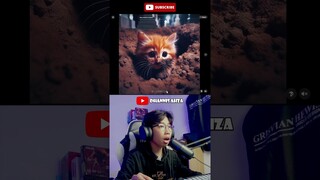 kucing ini tertabrak mobil lalu meninggal dan hidup lagi #kucing #chatgpt #sedih #chatgpt4