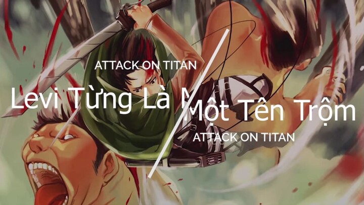 [AOT cut] Quá khứ ít người biết của Levi