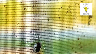 (Phần 161) Những Mẹo Vặt Lợi Ích Trong Cuộc Sống #LifeHacks