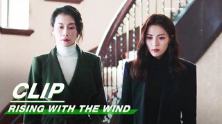 Jiang Hu Learns the Truth | Rising With the Wind EP03 | 我要逆风去 | iQIYI