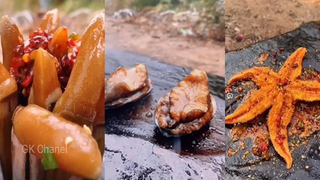 ย้างอาหารบนหิน ปลาดาว หอยหลอด EP6