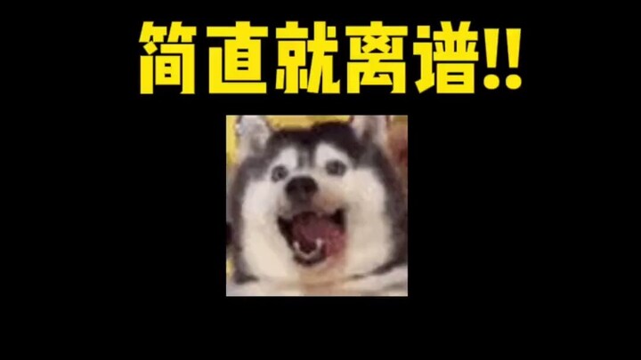 How to Earn Extra Money with Your Cat