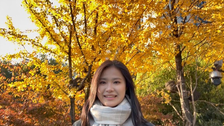 "ไม่ฟังพี่สาว พลัมอยู่ตรงหน้า"