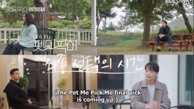 Pet me Pick Ep 4 Finale