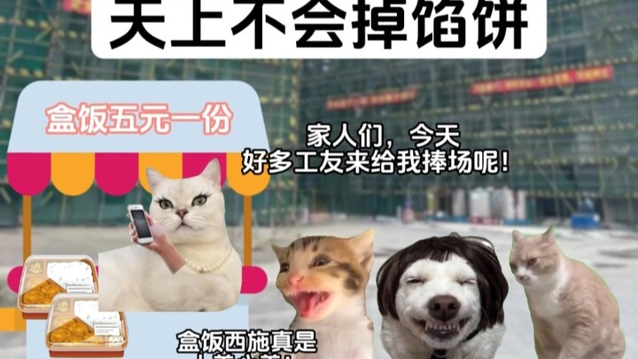 将心比心才能以心换心