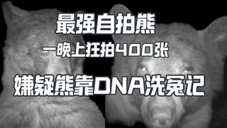 最强自拍熊一晚自拍400张 熊靠DNA摆脱嫌疑洗去冤案