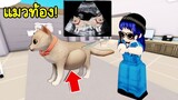 ทำคลอดให้แมว! | Roblox 🐾 PAWS Pet Hospital