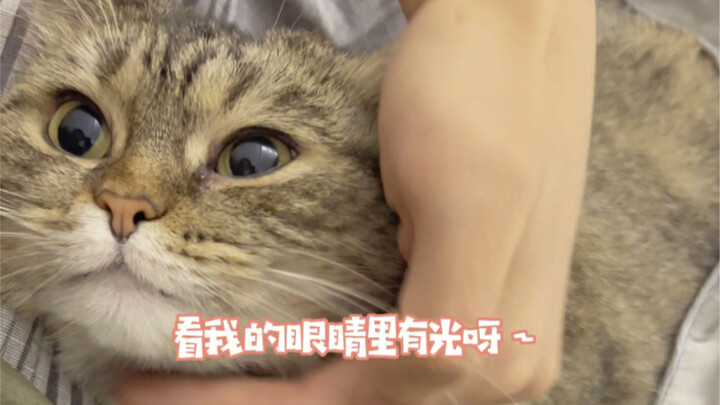 ความรักระหว่างฉันกับน้องแมวที่ต่างฝ่ายต่างมุ่งหน้าหาอีกฝ่ายนั้นช่างน่าหลงใหลจริงๆ!