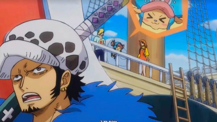 One Piece | Chopper is so cute, Luo, please stop pretending to be cold.