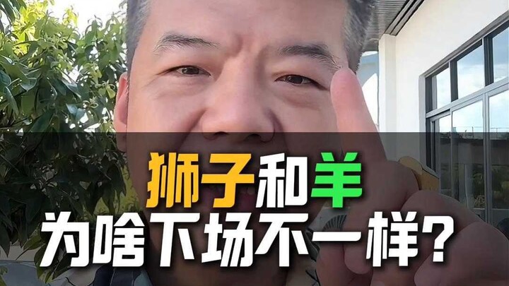 What exactly is Xiao Yang missing??