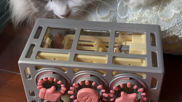 Explicitly stated, explicitly stated [tv_doge]