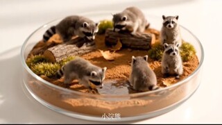 Ngày sinh của bạn quyết định thú cưng mới của bạn :)