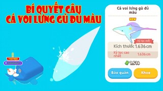 (Play Together) Cách Câu Cá Voi Lưng Gù Đủ Màu "Đẹp Ngoài Sức Tưởng Tượng"