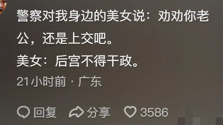 传国玉玺对中国人的吸引力有多大?看完网友神回复，真的要笑麻了!