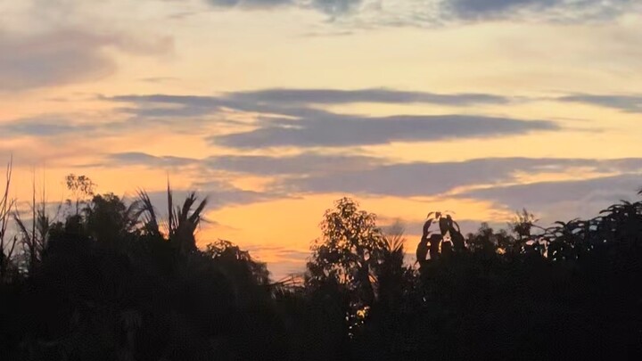 “Di Penghujung Senja, Ada Seribu Nikmat Yang Patut Disyukuri 🌅🌾❤️”