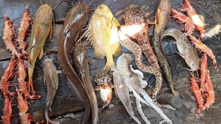 Các loài cá da trơn ''Nấu Canh Chua'' món ăn ngon trên ghe | Ngư Dân Miền Tây