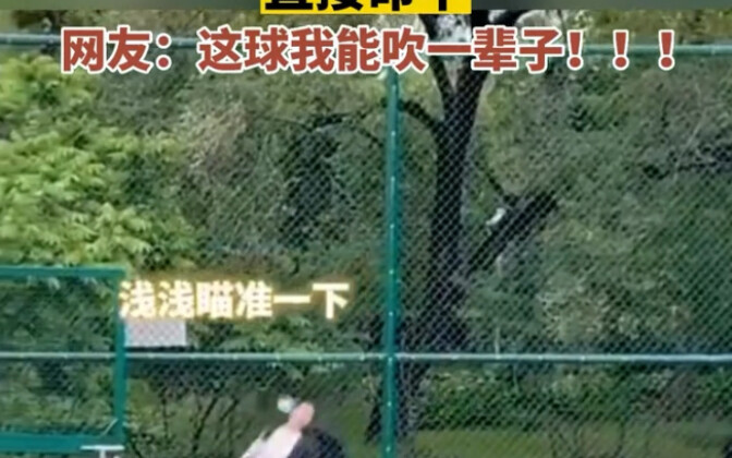 Girl shoots a basketball through the fence—this shot’ll be legendary for a lifetime!