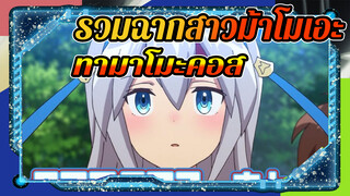 รวมทามาโมะคอส | อนิเมะสาวม้า
โมเอะ