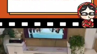 The Border Collie hasn't completely forgotten its past life