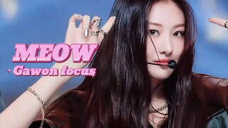 【GAWON】Cuộc tấn công điên cuồng! | 241003 MCD 'MEOW' Gawon tập trung