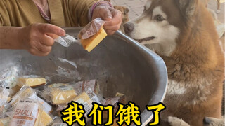 We're hungry. If you have food that's nearing or past its expiration date, please don't throw it awa