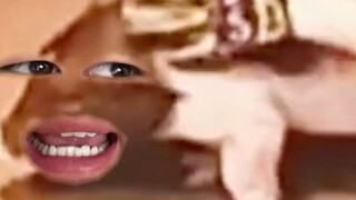 嘿死我了