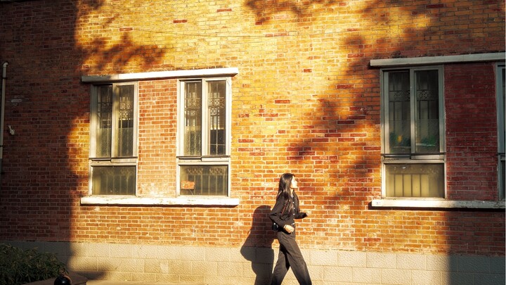 When sunlight filters through the trees, shadows on the red bricks form a picturesque scene.